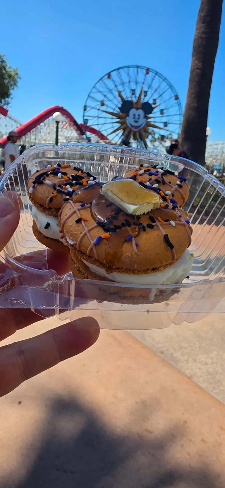 Photo on a experience about Disney's California Adventure